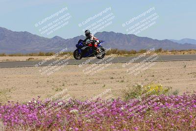 media/Mar-12-2023-SoCal Trackdays (Sun) [[d4c8249724]]/Turn 15 Inside Bloom (130pm)/